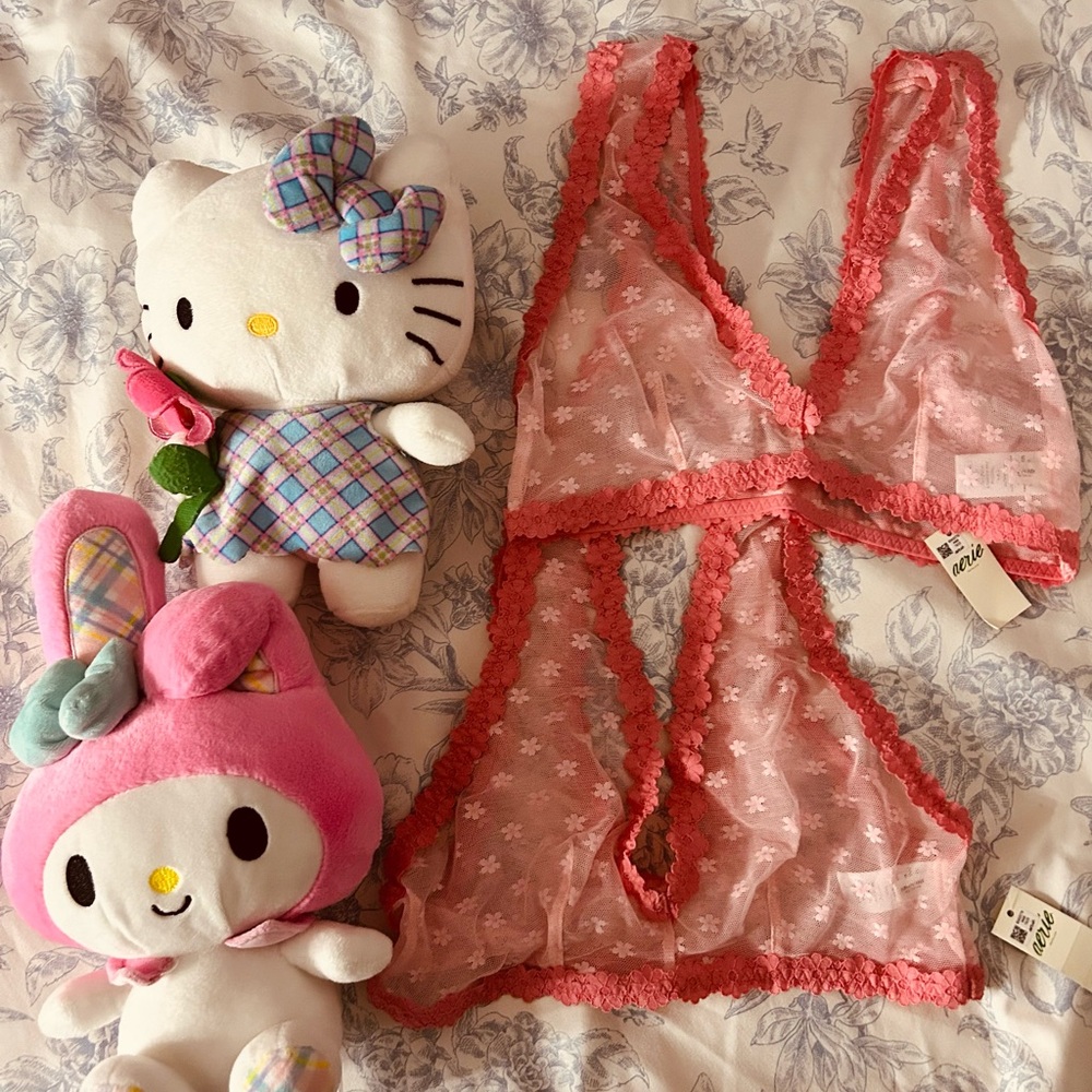 Aerie Sheer Floral Lace Chemise in Coral Pink